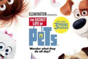 Concours gagnez un Blu-rayDVD du film « Comme des bêtes »