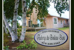 Concours gagnez un Forfait à la pourvoirie l'Auberge du Bouleau Blanc