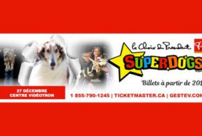 Concours gagnez un Forfait pour assister au Superdogs