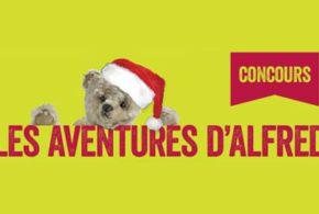 Concours gagnez une Carte de membre annuelle au Musée McCord