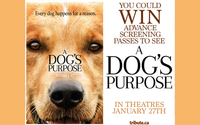 Concours gagnez des Billets pour l'avant-première du film A Dog's Purpose