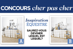 Concours gagnez un Abonnement d'un an au magazine Les idées de ma maison