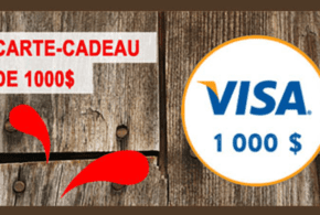 Concours gagnez une Carte cadeau Visa de 1000$
