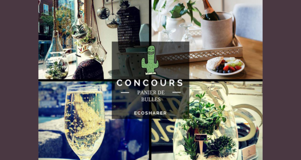 Concours gagnez une carte-cadeau SAQ