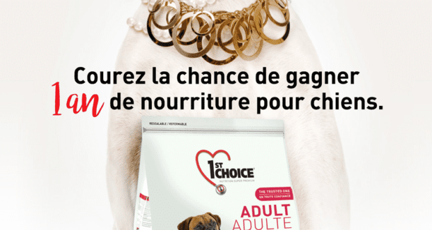 Concours gagnez un an de nourriture pour chiens