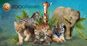 Concours gagnez une Visite VIP pour 4 personnes au Zoo de Granby