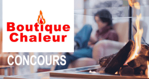 4 barbecues Napoléon
