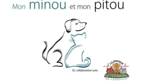 Concours gagnez un Panier-cadeau de 500$ pour votre chat ou chien