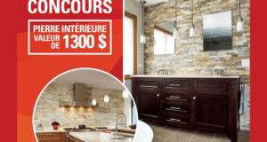 Un ensemble de pierres murales intérieures de 1300$