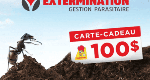 Carte-cadeau St-Hubert d'une valeur de 100$