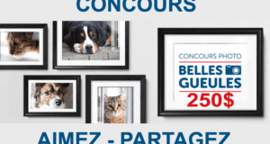 Carte cadeau de Mondou d’une valeur de 250 $