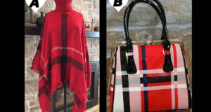 Gagne ton choix poncho ou bourse