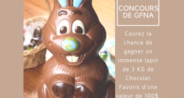 Un lapin de 3 KG de Chocolat Favoris