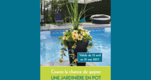 Une jardinière en pot