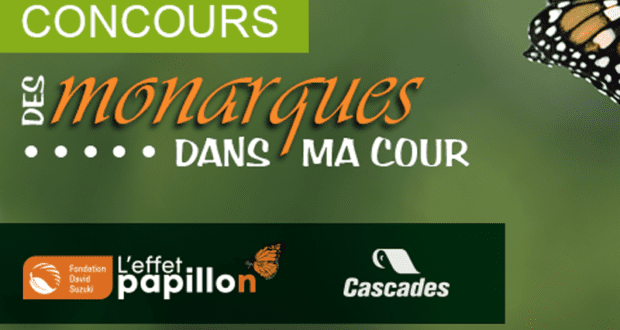 Aménagement paysager de 2000$