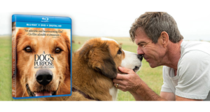 DVD du film Mes vies de chien