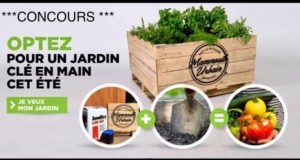 Jardin Mammouth Urbain