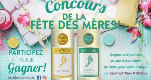 Journée au Spa d'une valeur de 500 $