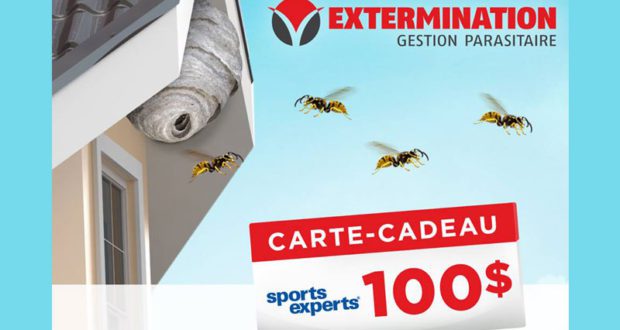 Carte-cadeau d’une valeur de 100$ chez Sports Experts