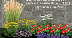 Gagnez des vivaces de 215$