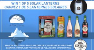 Gagnez l'une de 5 lanternes solaires