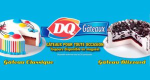 Gâteau Dairy Queen 10