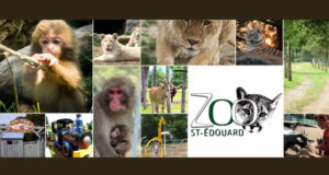 Journée en famille au Zoo St-Édouard