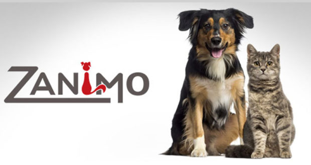 Paniers-cadeaux personnalisé Zanimo pour animal de compagnie
