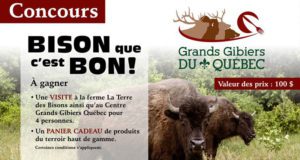 Visite à la ferme La Terre des Bisons