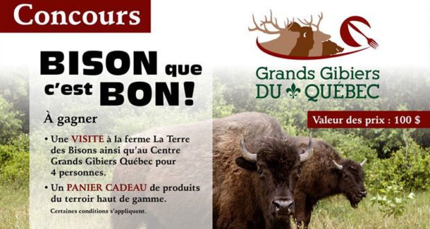 Visite à la ferme La Terre des Bisons