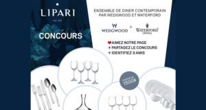 Ensemble contemporain Wedgwood de 1500 $