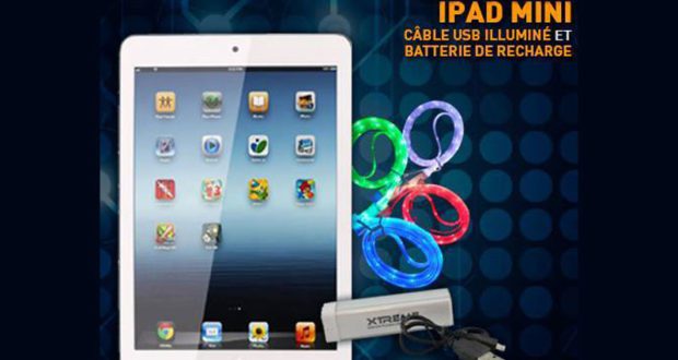 IPad Mini avec ses accessoires