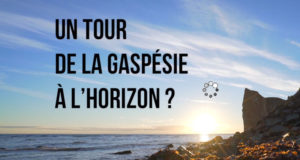 Tour de la Gaspésie, 4 nuits pour 2 adultes + 2 enfants