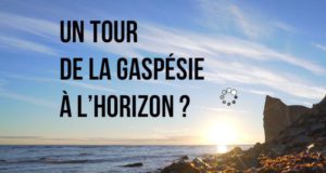 Tour de la Gaspésie, 4 nuits pour 2 adultes + 2 enfants