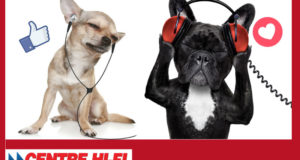 Des écouteurs Bose Bluetooth in ear ou one ear
