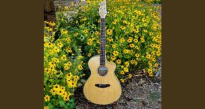 Guitare d'une valeur de 799$