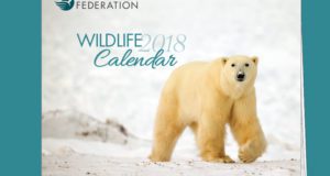 Calendrier Gratuit de la faune 2018