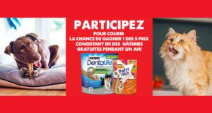 Un an de Collations pour chats ou chiens