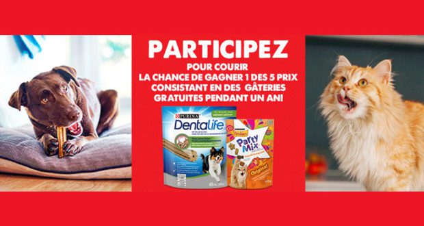 Un an de Collations pour chats ou chiens