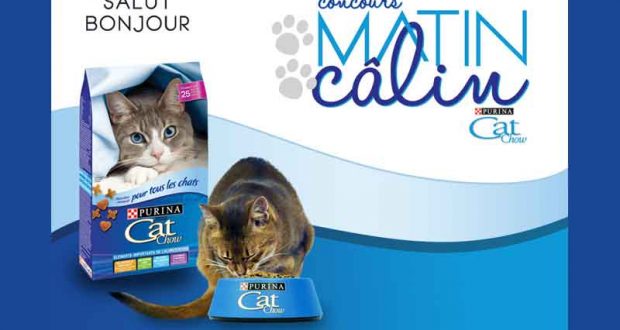 1000$ et une année de nourriture Purina Cat Chow