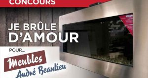 Foyer électrique Dimplex (899$)