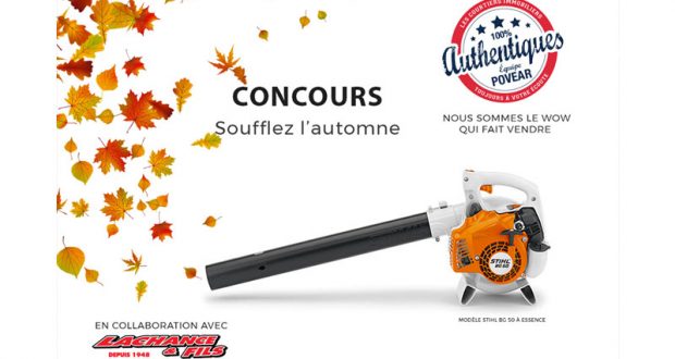 Souffleur à feuille STIHL BG 50