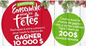 10 000 dollars canadiens