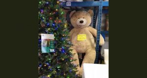 Gros nounours de 93 pouces (7.75 pieds)! Valeur de 200 $