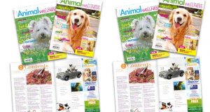 Magazine Animal Wellness Gratuit