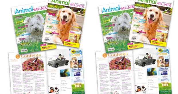 Magazine Animal Wellness Gratuit