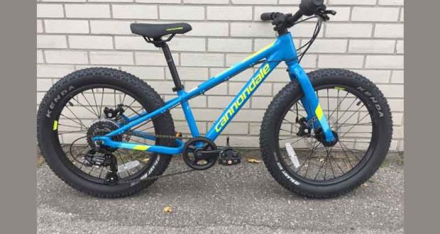 Mini Fatbike Cannondale 20 pouces pour enfant (500$)