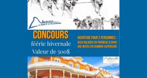 Nuitée pour 2 + randonnée en traîneau à chiens