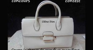 Sac à main de Céline Dion