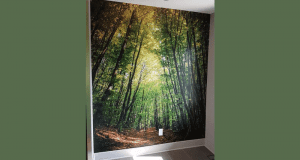 Murale d'une valeur de 750$